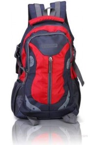 Suntop Neo 9 26 L Medium Backpack(Grey and Red Checks, Size - 460)